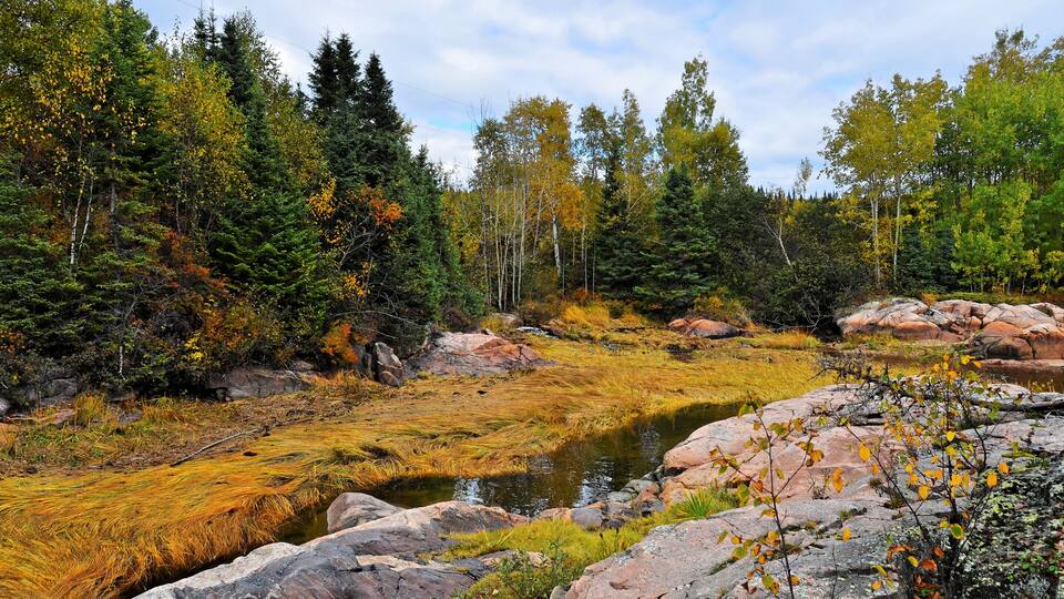 Autumn in Canada - Forestville - Quebec