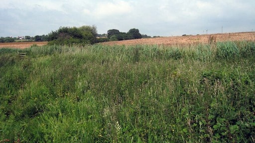 Footpath to Boreham Street