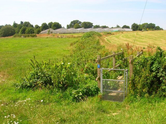 Footbridge and Glasshouses Taking the footpath past Flowers green Nursery to Flowers Green.