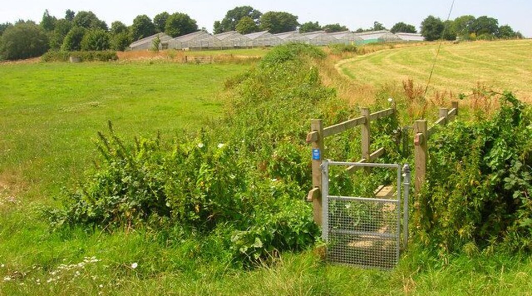 Footbridge and Glasshouses Taking the footpath past Flowers green Nursery to Flowers Green.