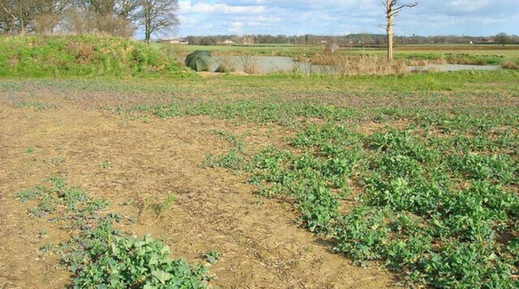 Belfry Coarse Fishery The fishery contains two ponds and was well populated by anglers on a nice sunny day like today. The umbrellas give an idea which direction the wind was blowing. The buildings of Hellingly can be seen in the distance.