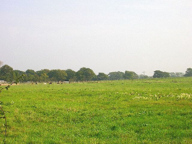 Farmland, Coldharbour Road. Looking east north east from Coldharbour Road near The Nurseries at a field of llamas.
