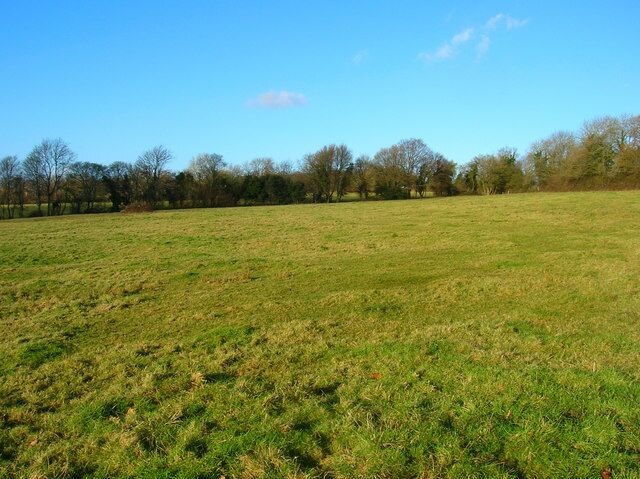 Field near Huglett's Stream Starts from the side of the stream then climbs the northern slope of the valley.