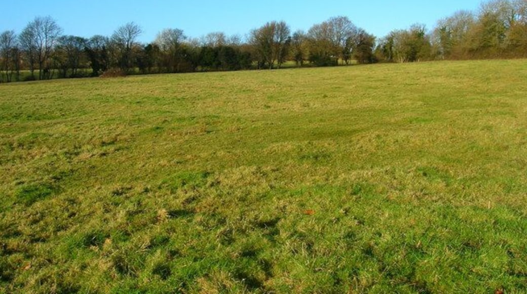 Field near Huglett's Stream Starts from the side of the stream then climbs the northern slope of the valley.