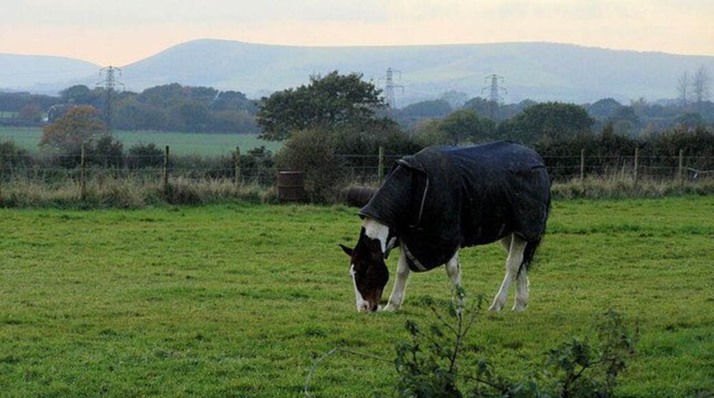 Church Field at Chalvington This field is just to the east of St Bartholomew Church. The hill in the background is Mount Caburn.