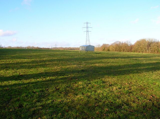 Sheepfeeder and Electricity Pylon Near the footpath that links Prinkle Lane with the middle of nowhere.