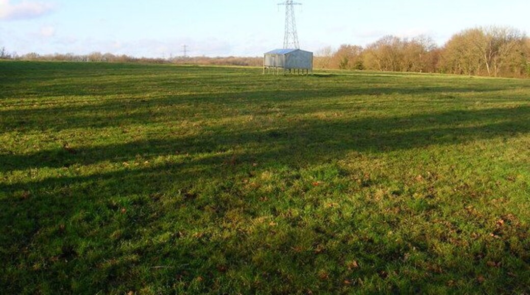 Sheepfeeder and Electricity Pylon Near the footpath that links Prinkle Lane with the middle of nowhere.