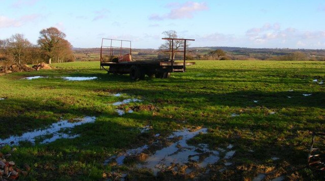 Waterlogged Field, Toll Farm At the start of the footpath that leads to nowhere!