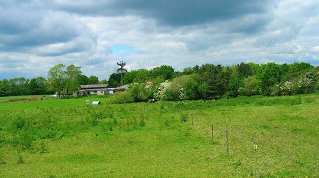 Brickfields Farm. Can you spot the cunningly disguised mobile phone mast?