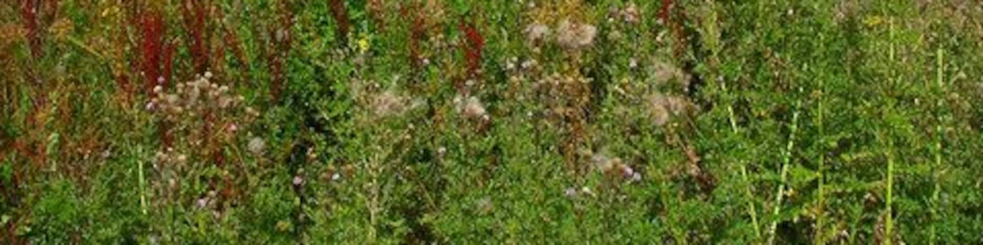 Brick Farm Lakes Trout fishery near Windmill Hill. There are currently two lakes though only one marked on the map which is this one. See http://www.brickfarmlakes.co.uk/ . Taken from the footpath that links Herstmonceux village to Nunningham Bridge