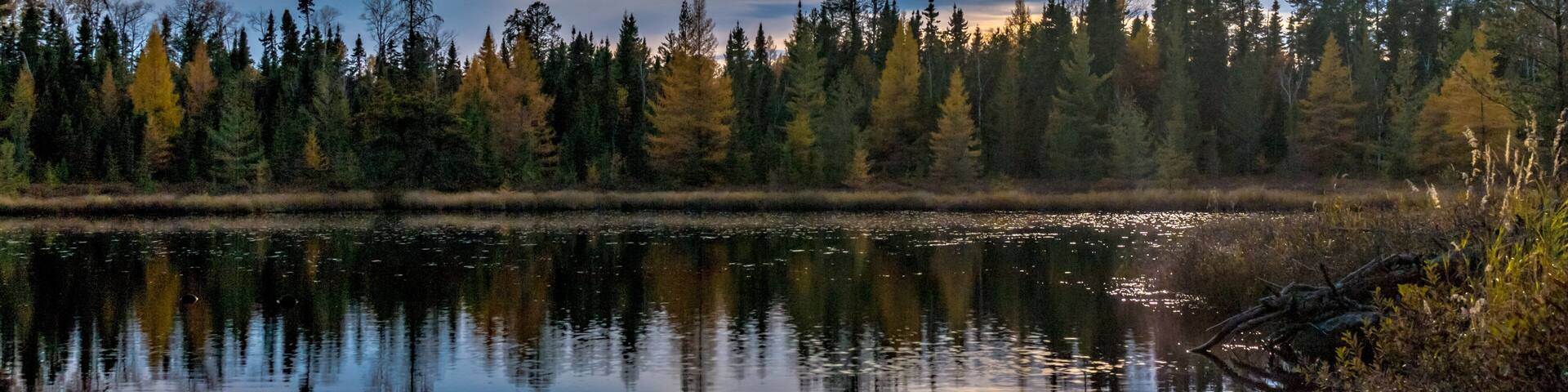 A calm lake with a wooden dock, surrounded by dense forest and reflecting the sky.