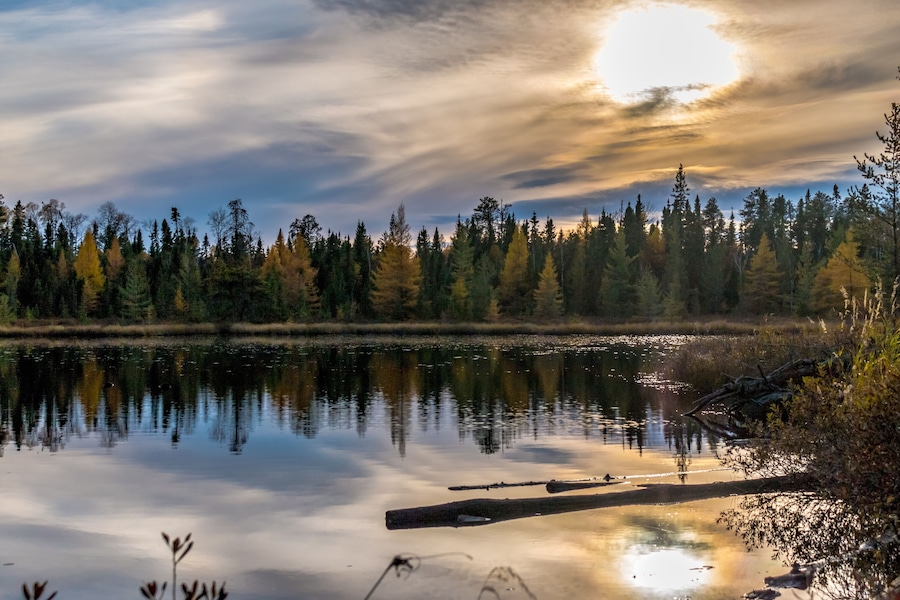 A calm lake with a wooden dock, surrounded by dense forest and reflecting the sky.