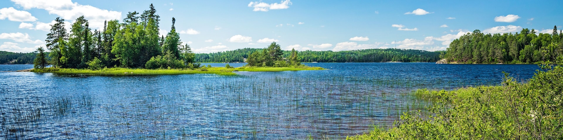 Island on French Lake in Quetico Prov