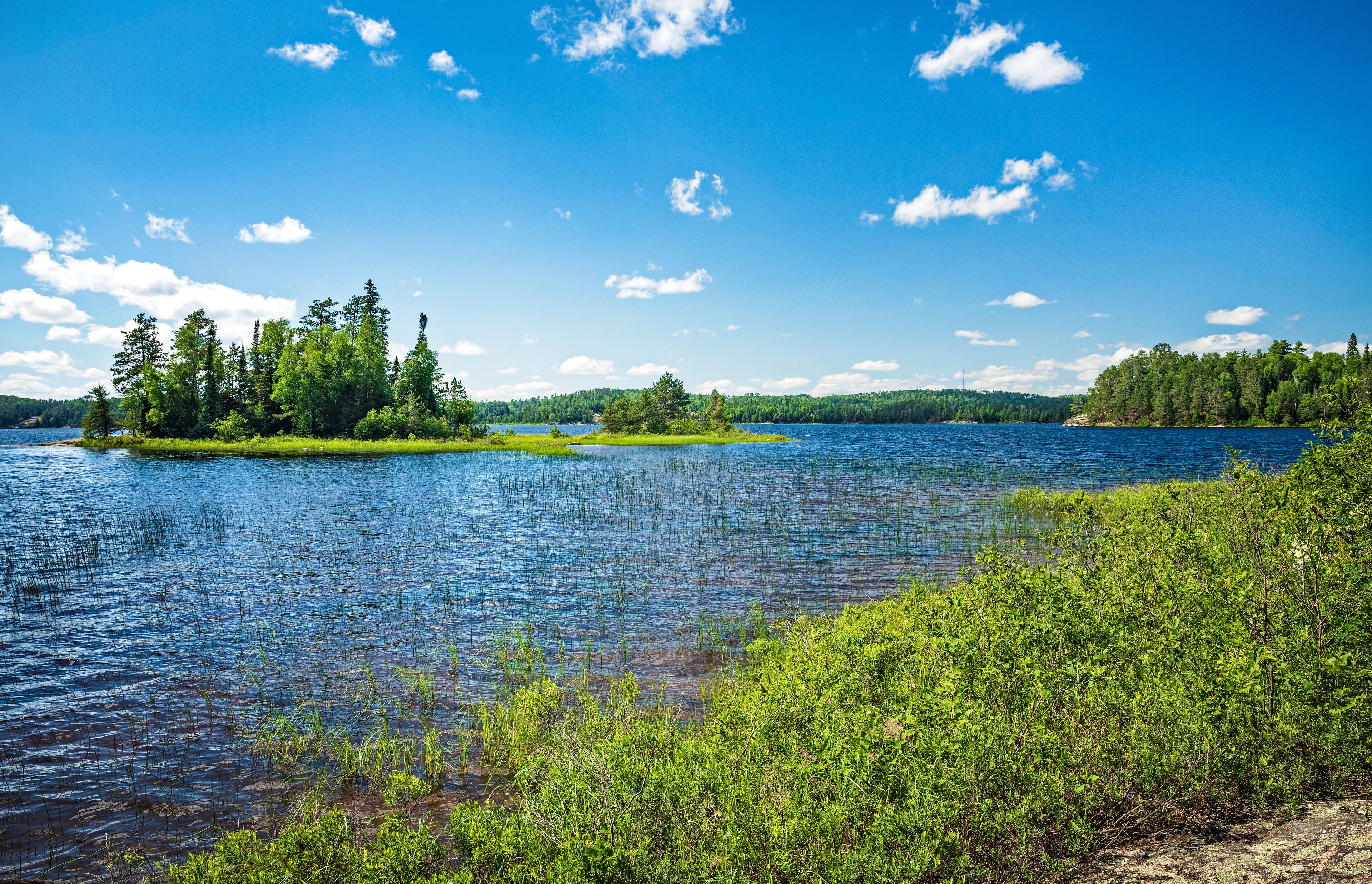 A calm lake surrounded by dense forests and a clear blue sky.