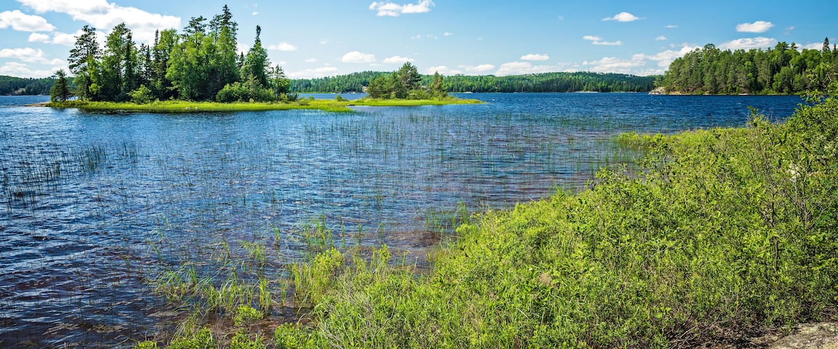 A calm lake surrounded by dense forests and a clear blue sky.