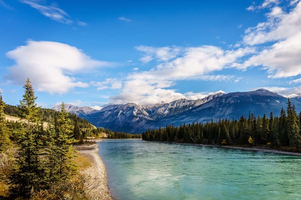 A river flowing through a forest with mountains in the background.
