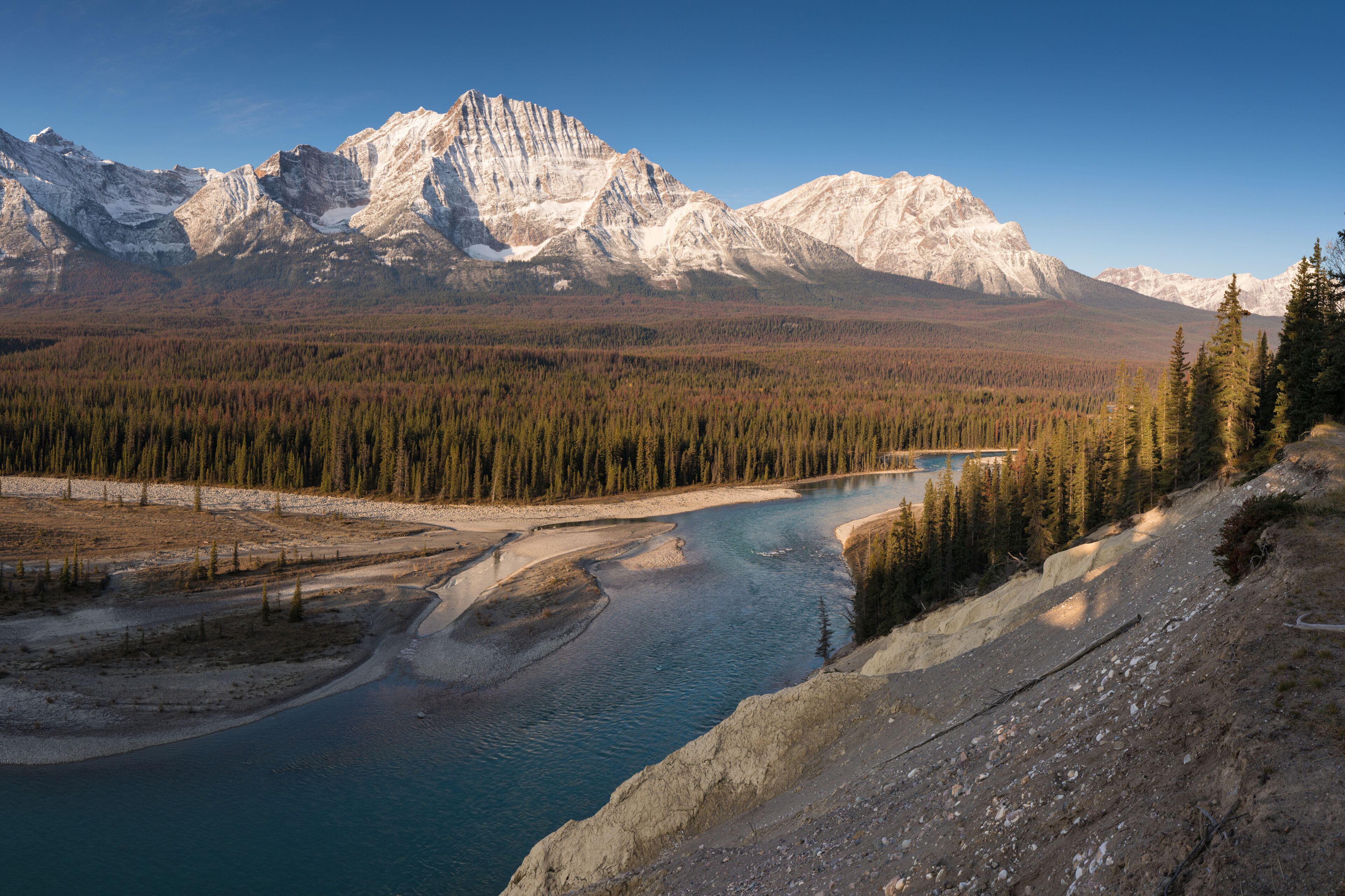 A river winding through a forested valley with snow-capped mountains in the background.