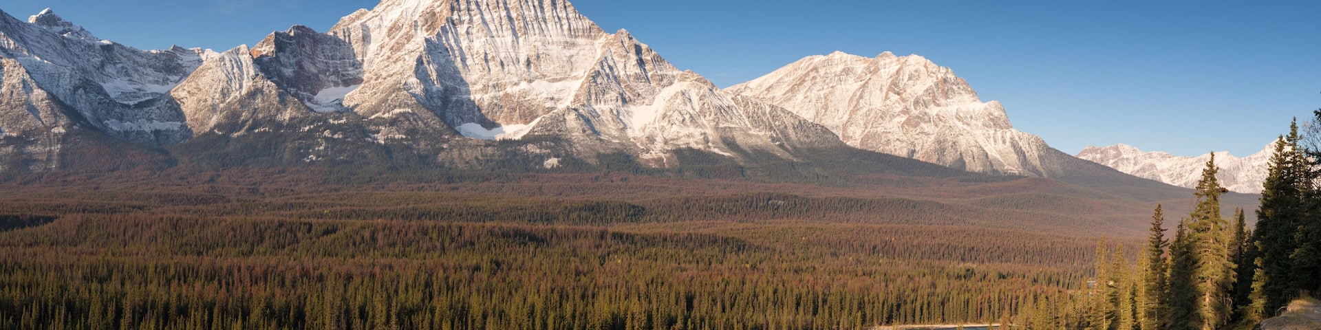 A river winding through a forested valley with snow-capped mountains in the background.