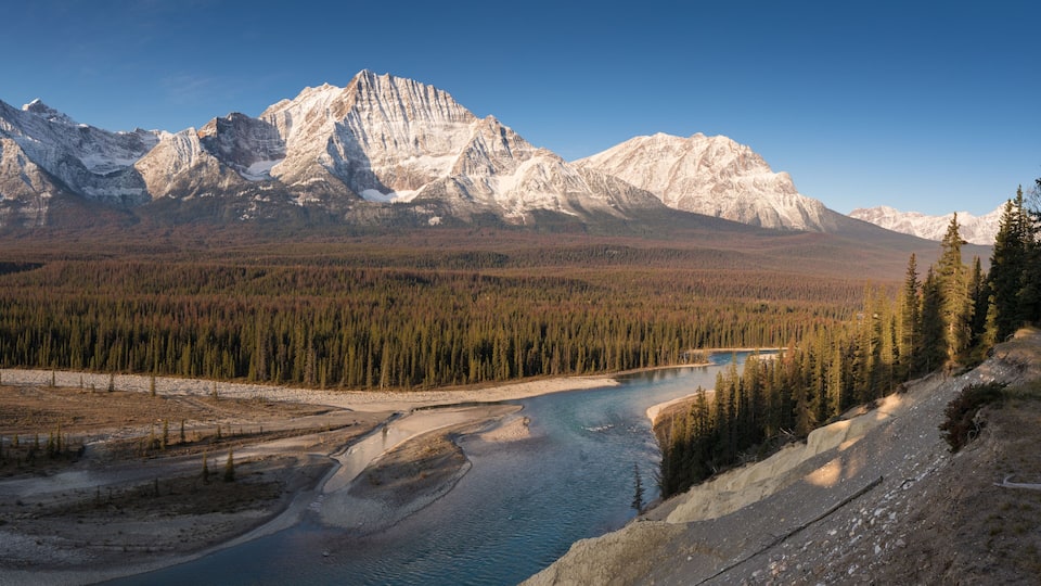 A river winding through a forested valley with snow-capped mountains in the background.
