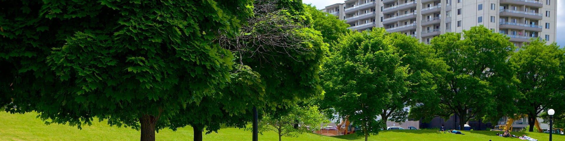 Kitchener showing a park as well as an individual femail