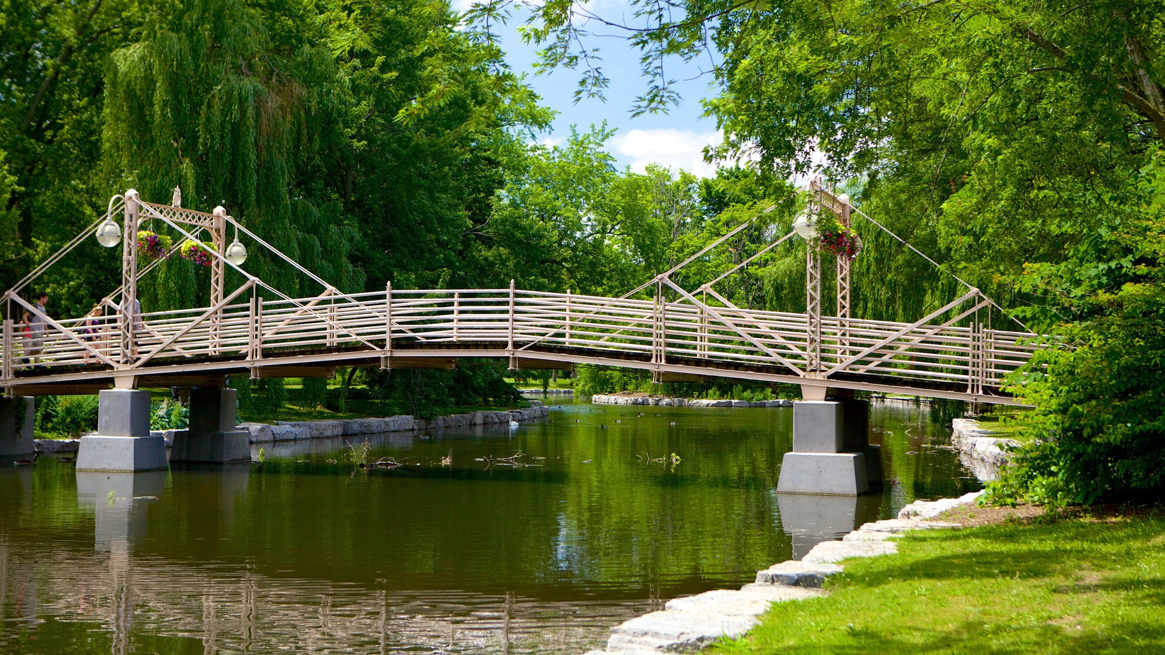 Kitchener featuring a bridge, a river or creek and a park