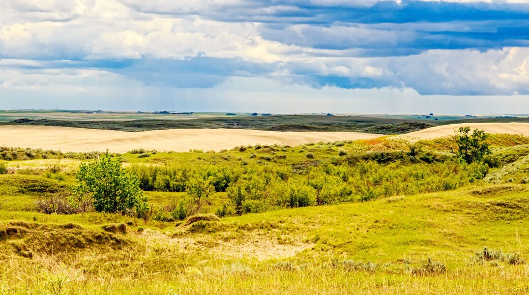 Great Sandhills