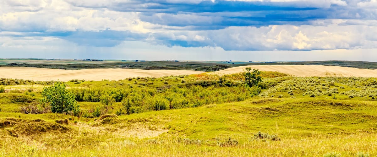 A grassy landscape with rolling hills and a cloudy sky.