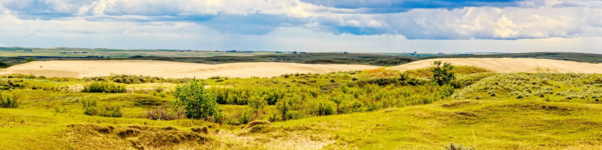 A grassy landscape with rolling hills and a cloudy sky.