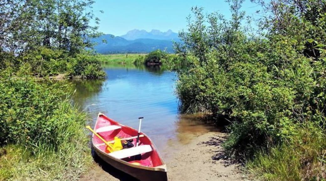 A good spot to stretch and have a dip
