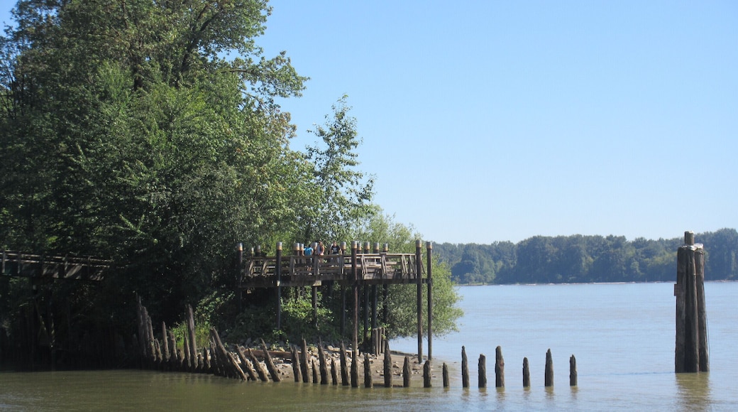 The viewing platform, where Kanaka Creek enters the Fraser River