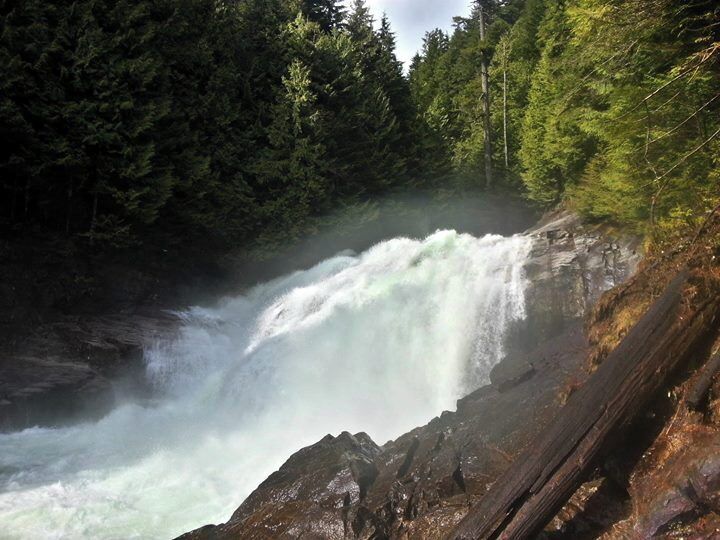 A powerful waterfall surrounded by dense forest.