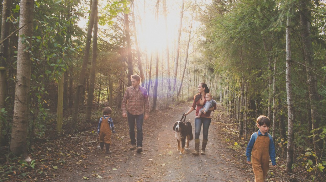A family of five with a dog enjoy a morning walk on a gravel path at a local park.
