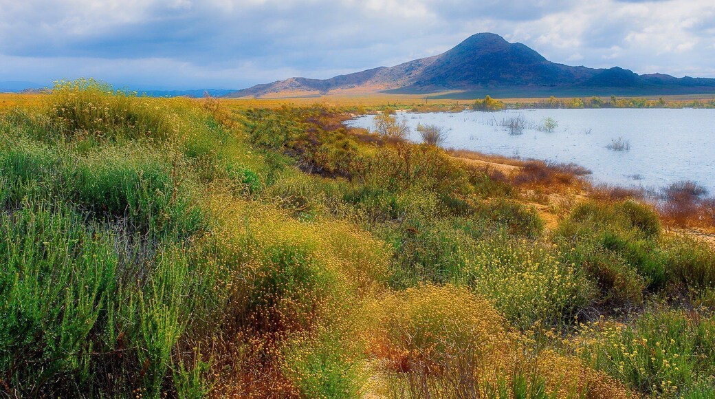 Lake Perris State Park