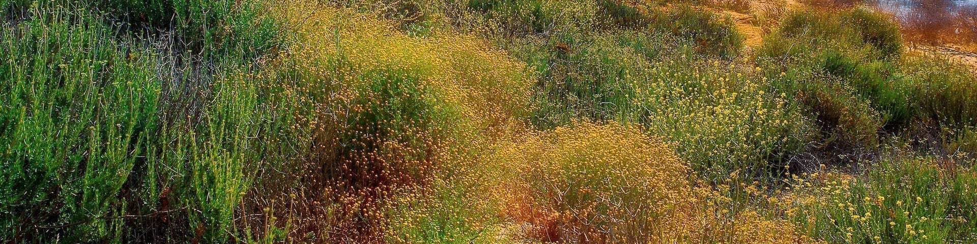 Lake Perris State Park