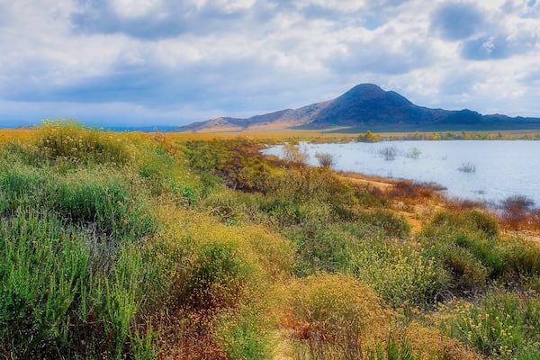 Lake Perris State Park