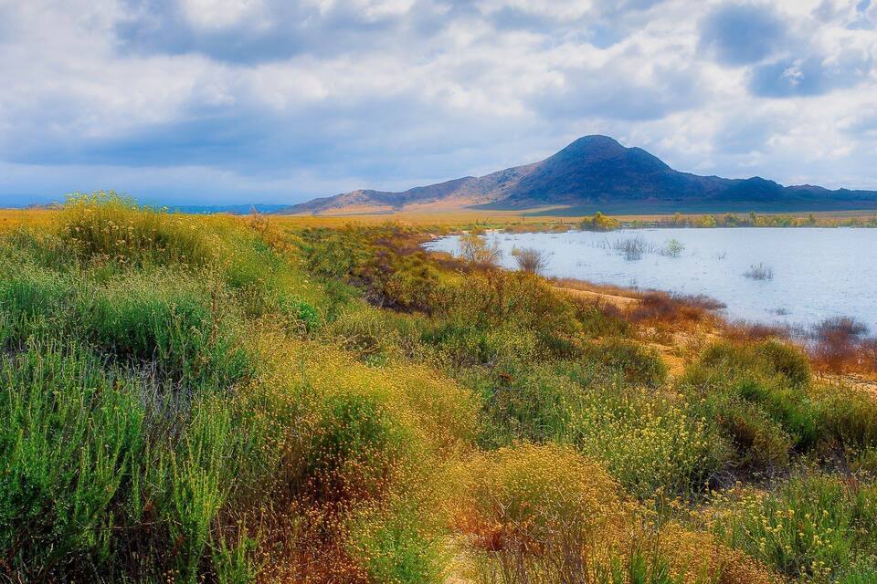 A mountainous landscape with a lake and diverse vegetation.