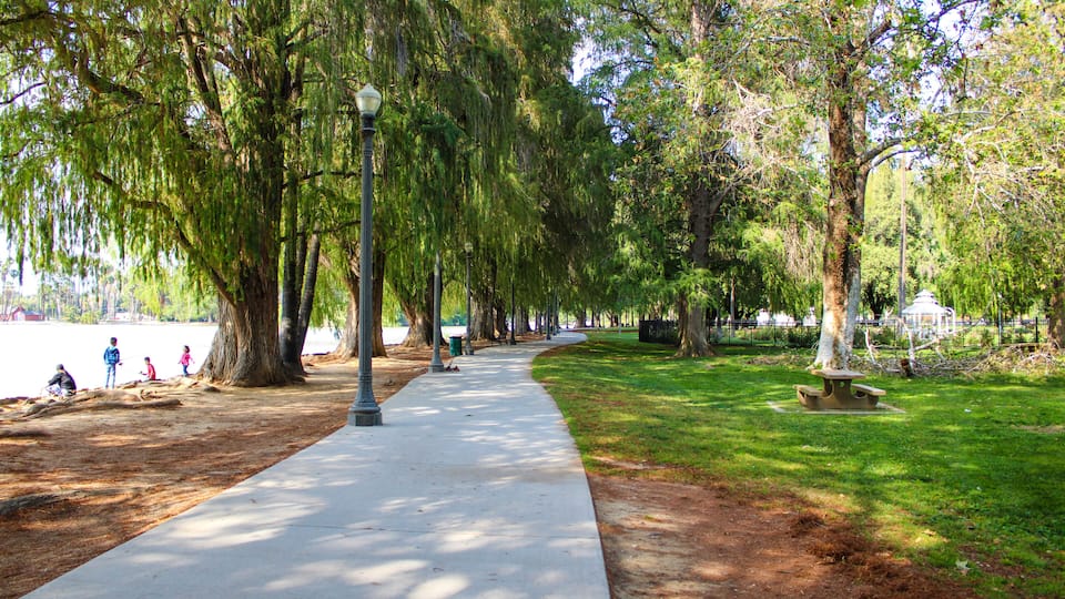A park with a paved walkway, trees, and picnic tables.