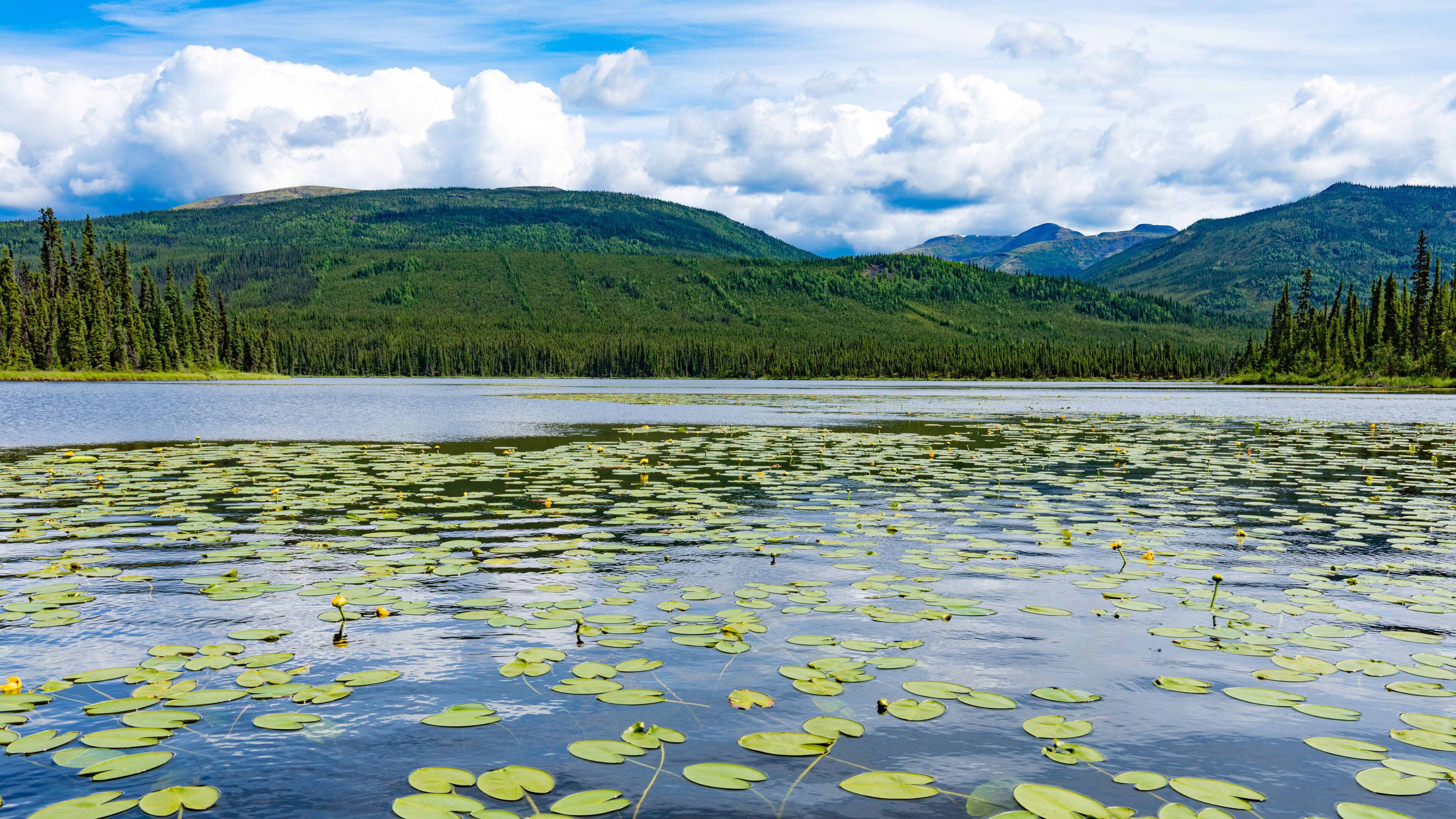 McQuesten Lake wild central Yukon landscape Canada