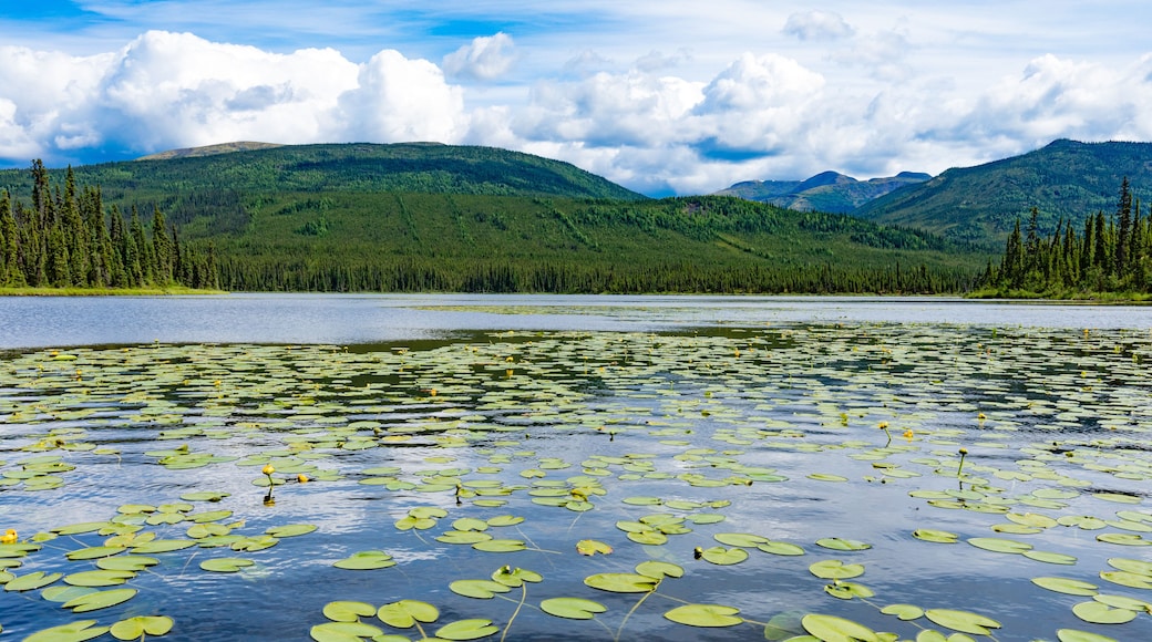 McQuesten Lake wild central Yukon landscape Canada