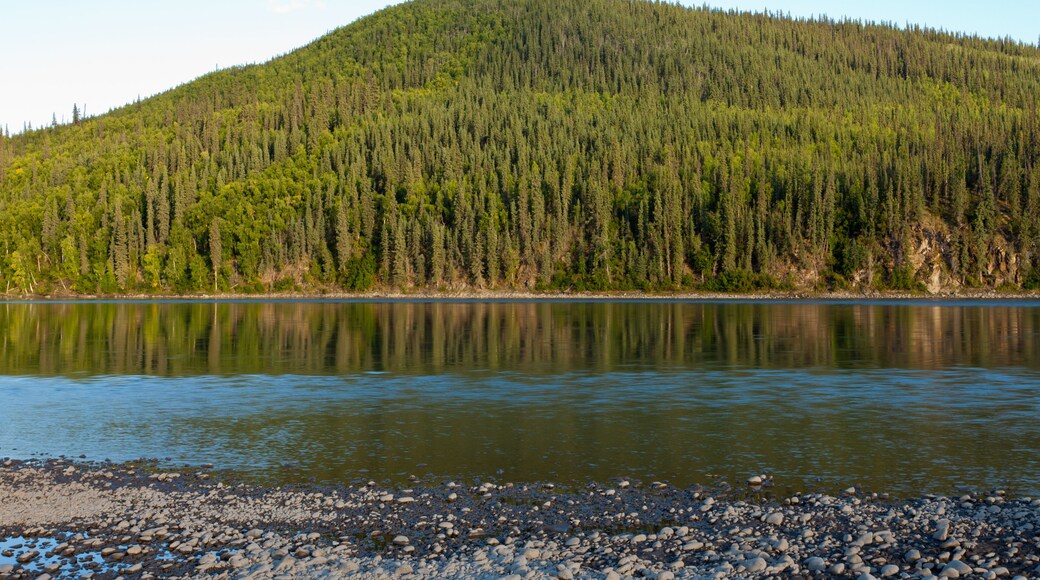 Taiga hills at Steward River near town of Mayo