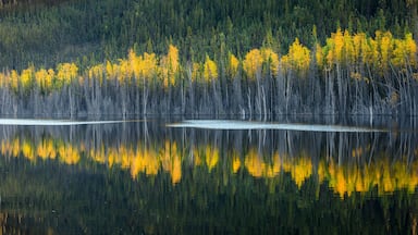 Landscape with lake and boreal forest in autumn colors, Yukon Territory Canada