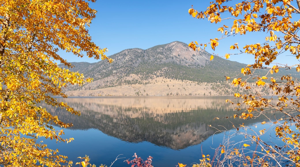Nicola Lake Autumn Sunshine Leaves.Autumn colours frame hills by Nicola Lake near Merritt. British Columbia, Canada.