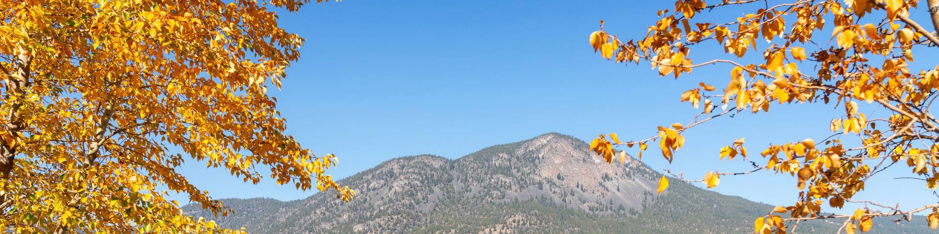 Nicola Lake Autumn Sunshine Leaves.Autumn colours frame hills by Nicola Lake near Merritt. British Columbia, Canada.