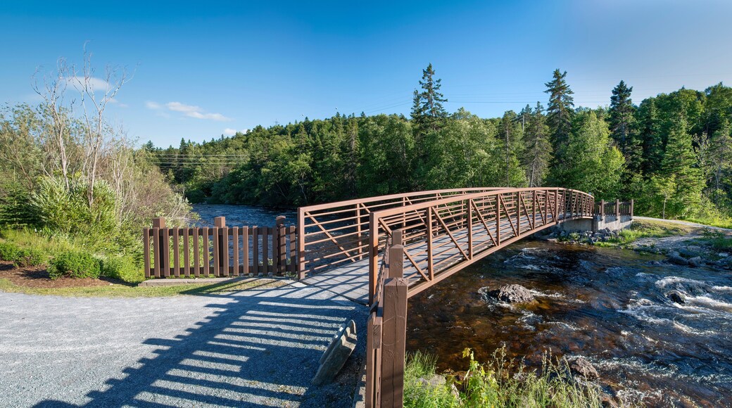 A bridge crosses the Corner Brook Stream and leads into the forest along the Stream Trail during early sunset.