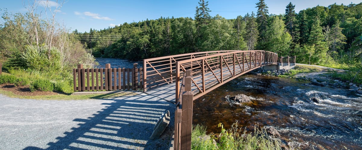 A bridge crosses the Corner Brook Stream and leads into the forest along the Stream Trail during early sunset.