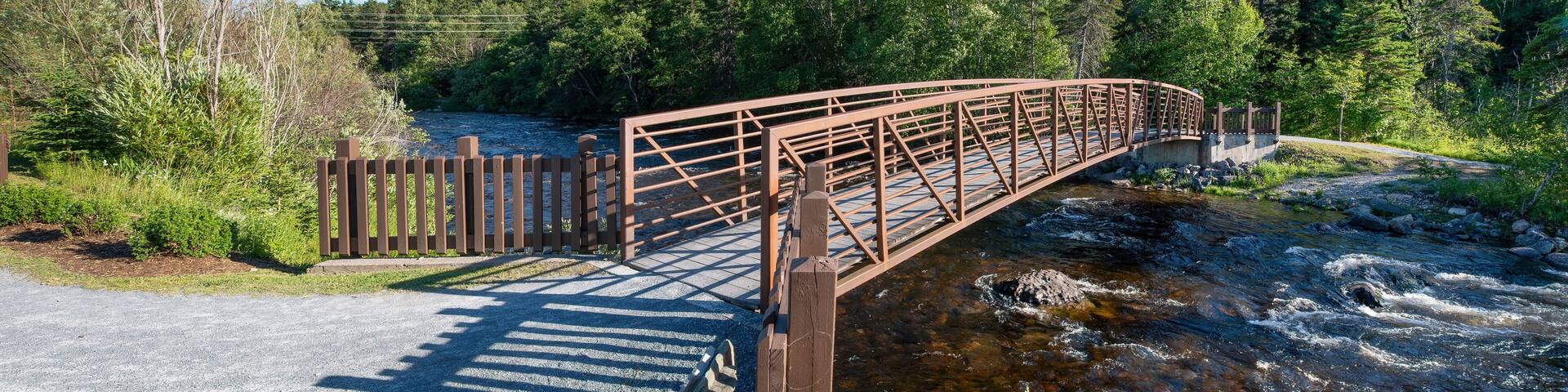 A bridge crosses the Corner Brook Stream and leads into the forest along the Stream Trail during early sunset.