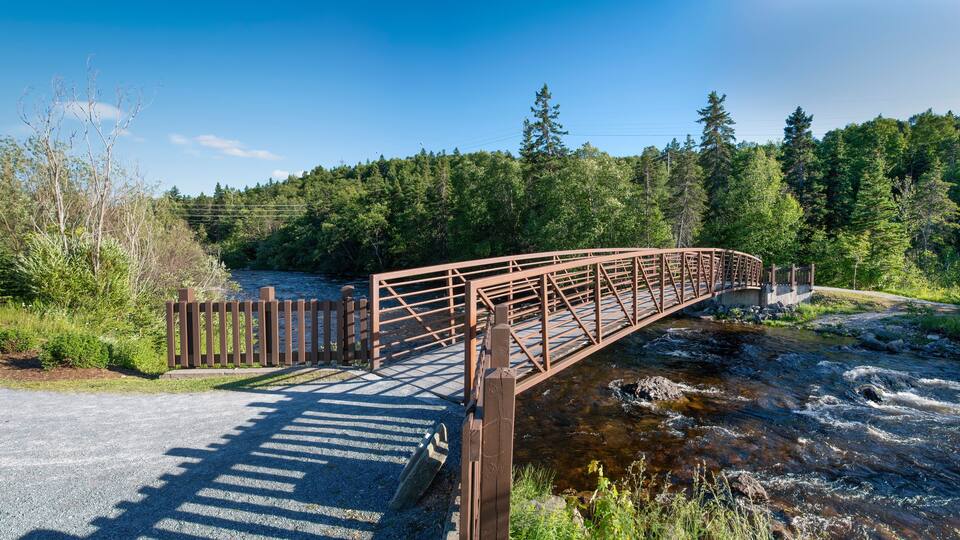 A metal bridge over a flowing river, surrounded by dense forest and a clear blue sky.
