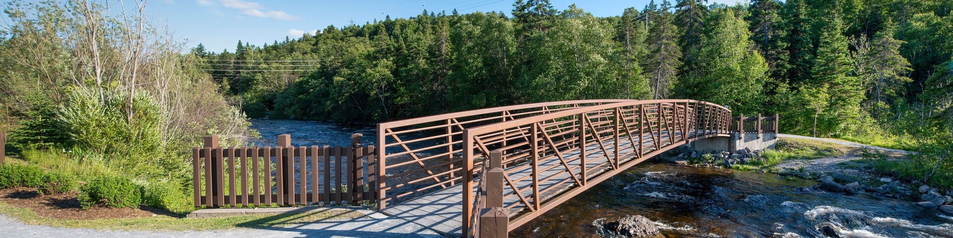 A bridge crosses the Corner Brook Stream and leads into the forest along the Stream Trail during early sunset.