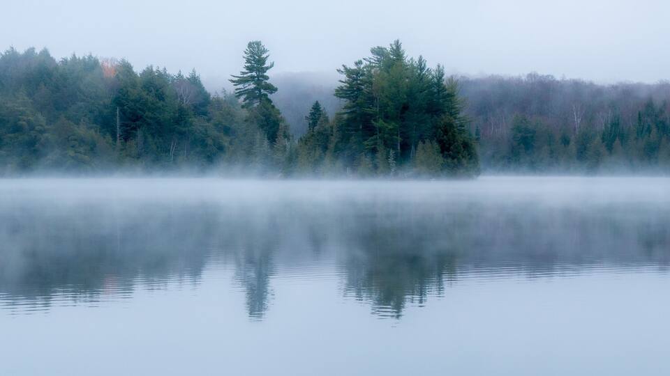 A calm lake with dense forest on the opposite shore.