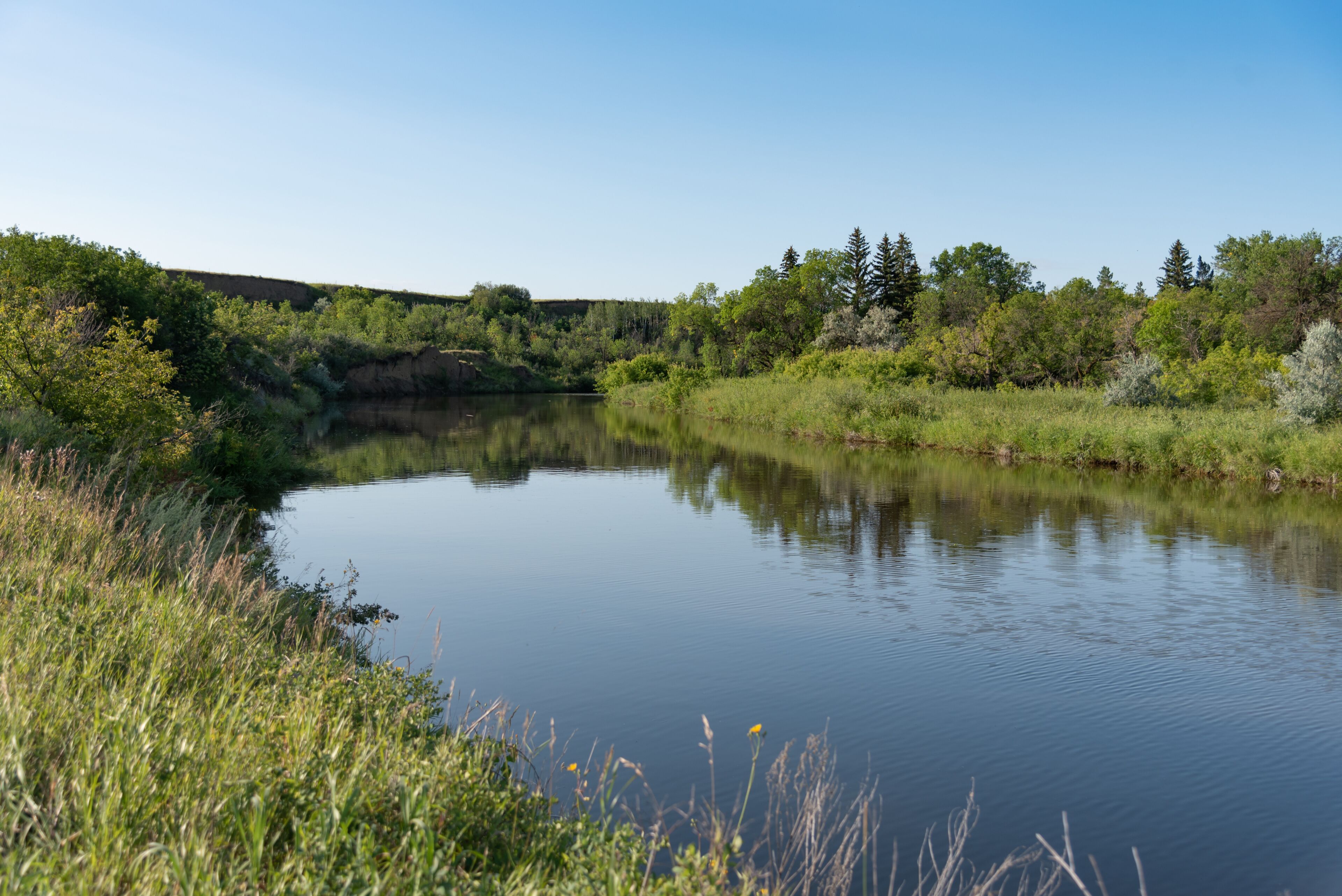 A calm river surrounded by dense greenery and trees.
